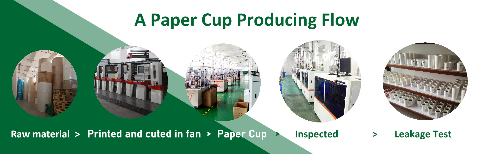 cốc giấy, cốc giấy dùng một lần, cốc giấy,xinhua paper cup factory